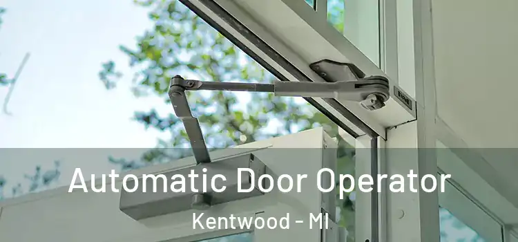 Automatic Door Operator Kentwood - MI
