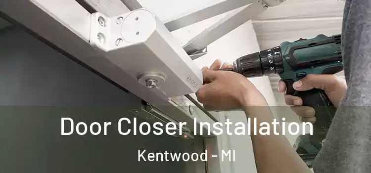 Door Closer Installation Kentwood - MI