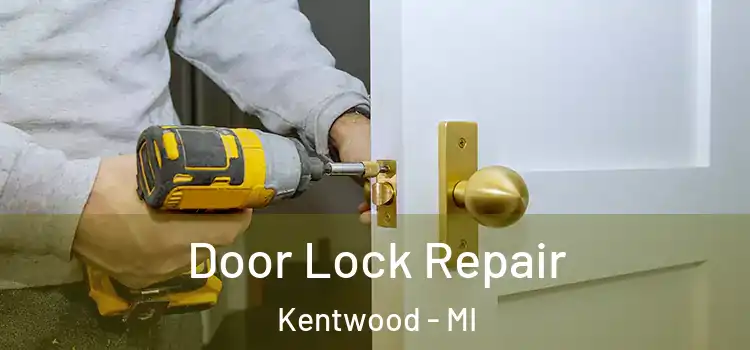 Door Lock Repair Kentwood - MI