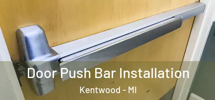 Door Push Bar Installation Kentwood - MI