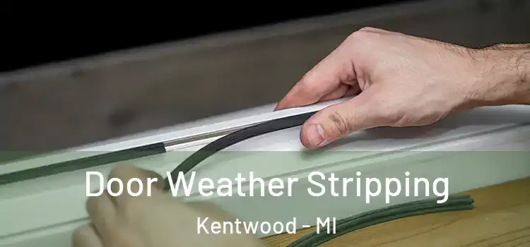 Door Weather Stripping Kentwood - MI