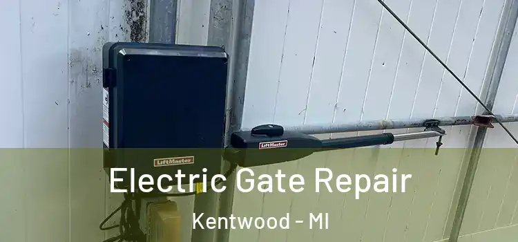 Electric Gate Repair Kentwood - MI