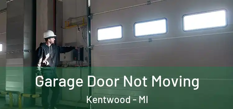  Garage Door Not Moving Kentwood - MI