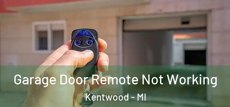  Garage Door Remote Not Working Kentwood - MI