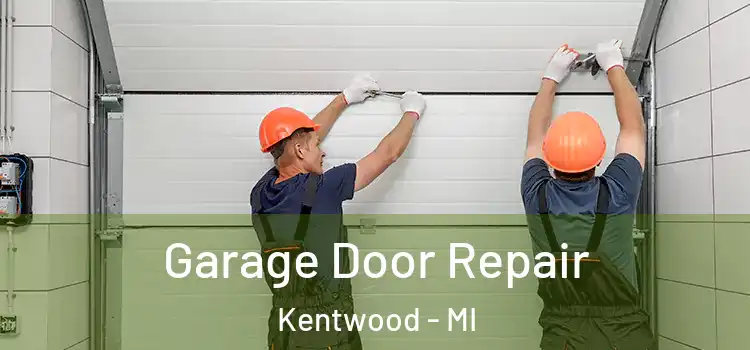 Garage Door Repair Kentwood - MI