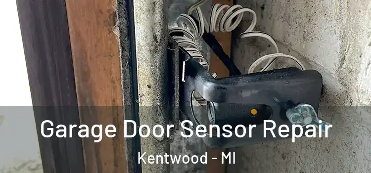 Garage Door Sensor Repair Kentwood - MI