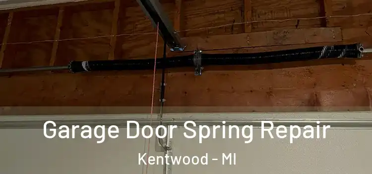  Garage Door Spring Repair Kentwood - MI