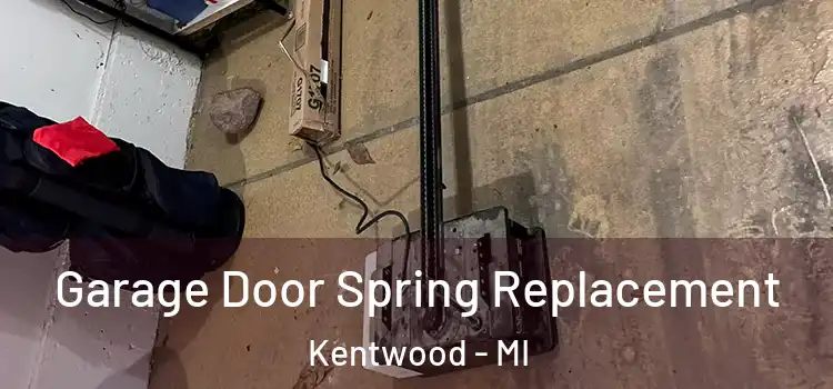  Garage Door Spring Replacement Kentwood - MI