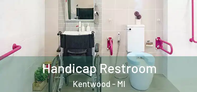 Handicap Restroom Kentwood - MI