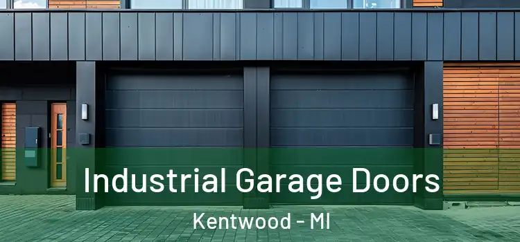  Industrial Garage Doors Kentwood - MI