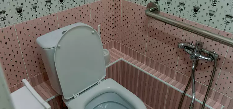 Meeting Diverse Needs With Accessible Restroom Solutions in Kentwood, MI