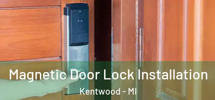  Magnetic Door Lock Installation Kentwood - MI