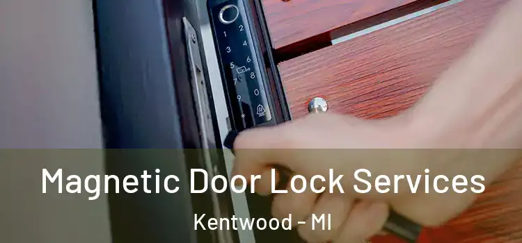 Magnetic Door Lock Services Kentwood - MI
