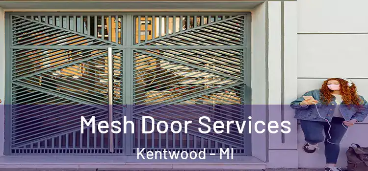 Mesh Door Services Kentwood - MI