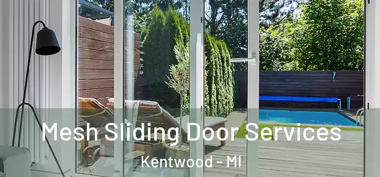 Mesh Sliding Door Services Kentwood - MI