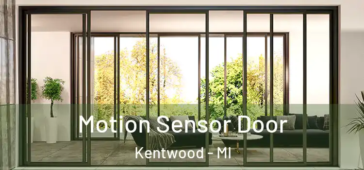 Motion Sensor Door Kentwood - MI