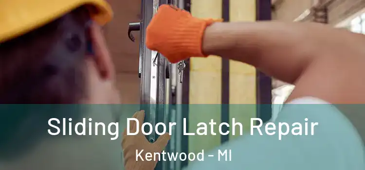 Sliding Door Latch Repair Kentwood - MI