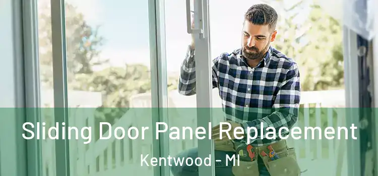  Sliding Door Panel Replacement Kentwood - MI
