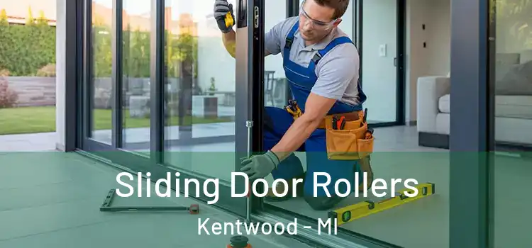 Sliding Door Rollers Kentwood - MI