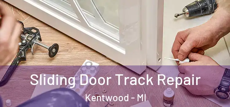  Sliding Door Track Repair Kentwood - MI