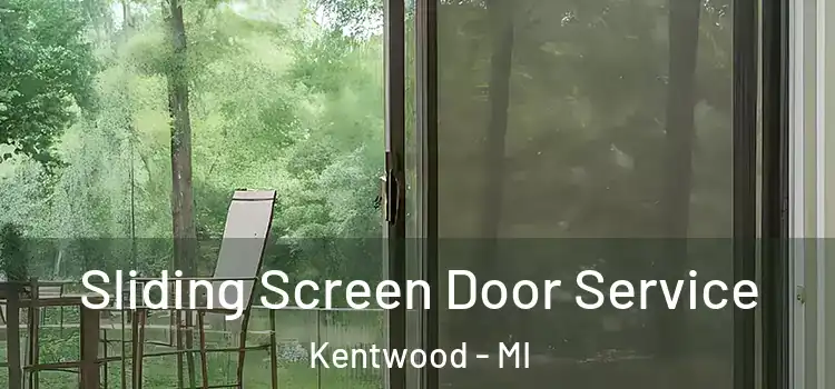 Sliding Screen Door Service Kentwood - MI