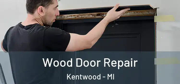  Wood Door Repair Kentwood - MI